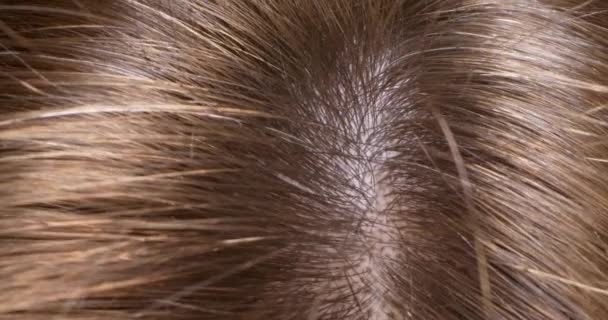 Εξαιρετικά κοντινό πλάνο, λεπτομερές. χωρίστρα σε χρυσά καστανά υγιή μαλλιά — Αρχείο Βίντεο