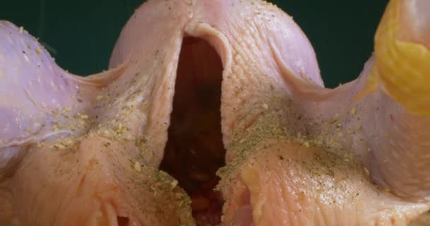 Detalhe extremamente close-up de frango cru polvilhado com tempero, vista interna e externa — Vídeo de Stock