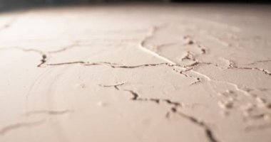 Dekoratif alçı Craquelure 'ın detaylı yakın çekim yüzeyi. bej rengi