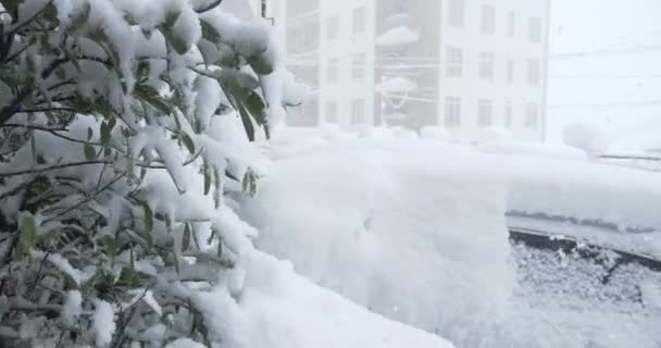 Groene bladeren van magnolia en een auto geparkeerd voor het huis bedekt met sneeuw. klimatologische afwijking. Rusland, Sotsji, februari 2021 — Stockvideo