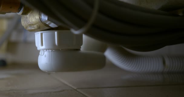 Close-up of leaking bathroom siphon, apartment flooding concept — Vídeo de Stock