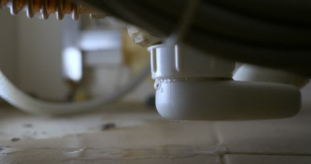 Close-up of leaking bathroom siphon, apartment flooding concept — 비디오