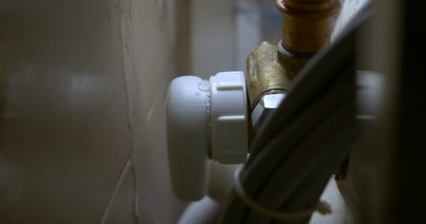 Vertically. close-up of leaking bathroom siphon, apartment flooding concept — Vídeo de Stock