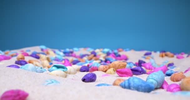 Detaljerad extrem närbild av flerfärgade snäckskal på vit sand — Stockvideo