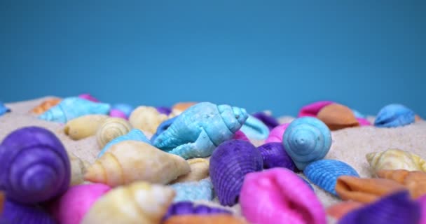 Detailed extreme close-up of multicolored seashells on white sand — Stock Video