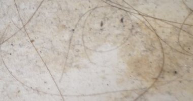 Son derece yakın plan, detaylı. Banyoda duş aldıktan sonra sabunlu köpüklü uzun saçlar.