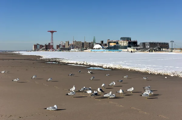 Playa de Coney Island con nieve — Foto de Stock