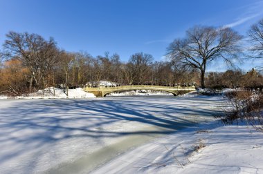 Yay Köprüsü - Central Park, New York