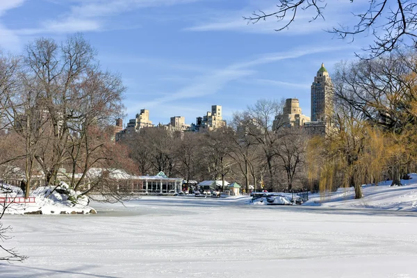 The Lake - Central Park, NYC — Stock Photo, Image