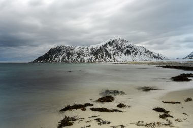 Skagsanden beach, Lofoten Islands, Norway clipart