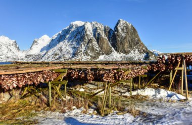Reine, Lofoten Adaları, Norveç