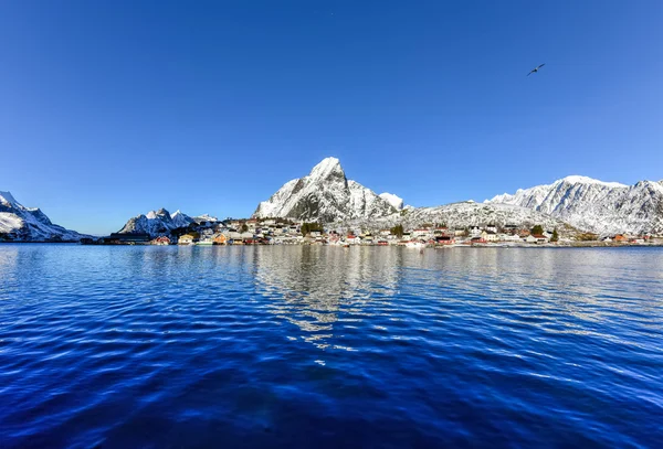 Reine, Lofoten Adaları, Norveç — Stok fotoğraf