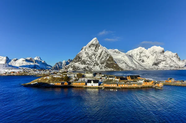 Reine, Lofoten Adaları, Norveç — Stok fotoğraf