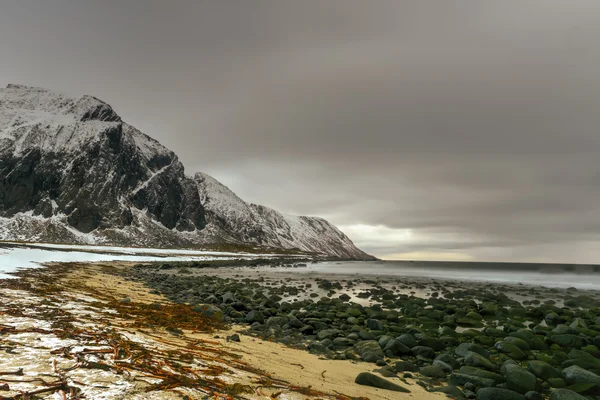 Eierlikör, erhabene Inseln, Norwegen — Stockfoto