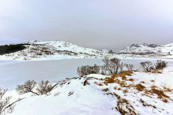 Ostadvatnet, Lofoten öarna, Norge — Stockfoto