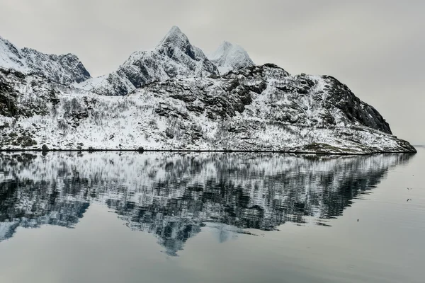 Maervoll, Vestvagoy - Lofoten Adaları, Norveç — Stok fotoğraf