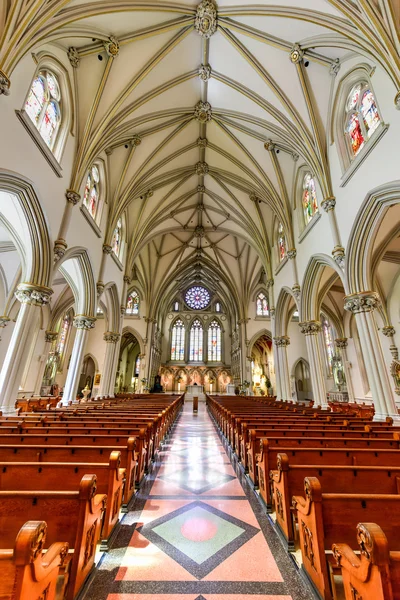 Catedral de São José Buffalo, Nova Iorque — Fotografia de Stock