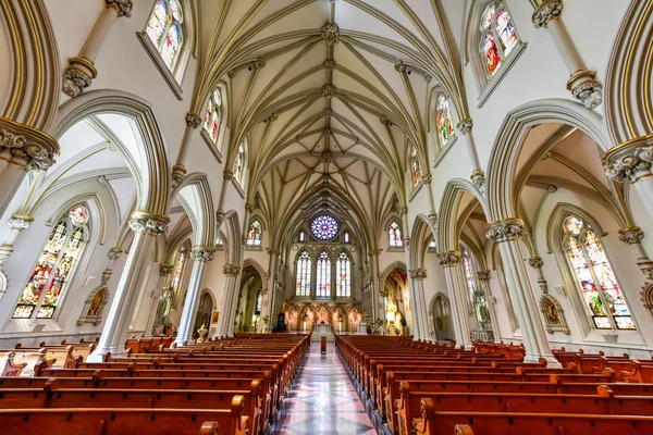 Catedral de San José - Buffalo, Nueva York —  Fotos de Stock