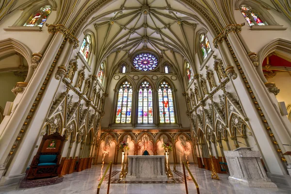 Katedrála svatého Josefa - Buffalo, New York — Stock fotografie