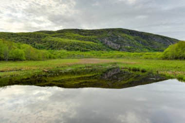 Göl Acadia Milli Parkı'nda