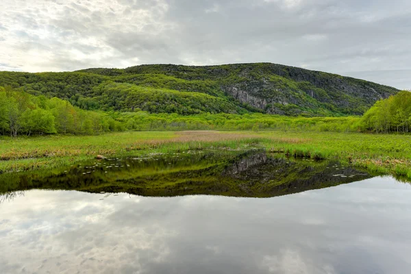 Lago no Parque Nacional de Acadia — Fotografia de Stock