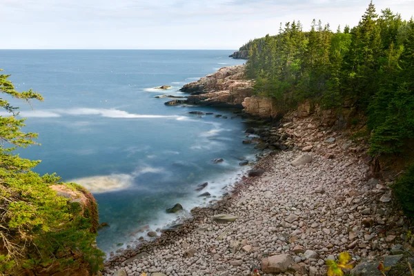 Küste des Acadia-Nationalparks — Stockfoto