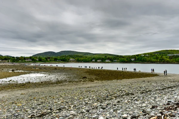 Island - Maine-Bar — Stockfoto