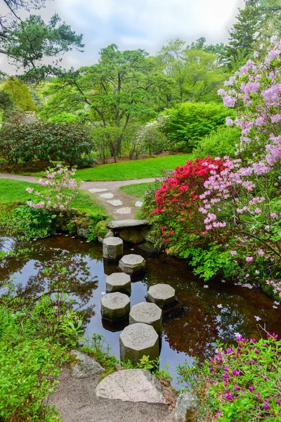 Asticou Azalea Gardens - Maine — Stock Photo, Image