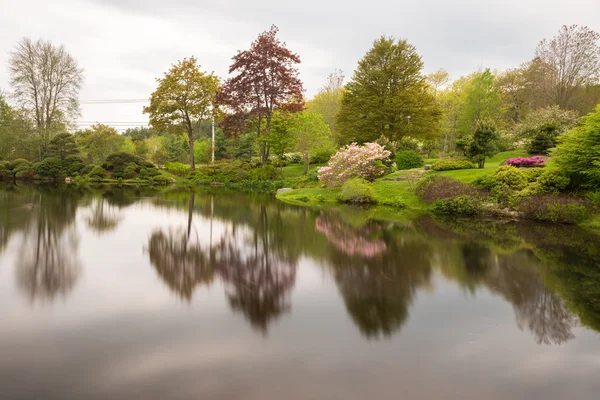 Jardins Asticou Azalea - Maine — Photo