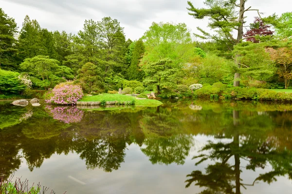 Jardins Asticou Azalea - Maine — Photo