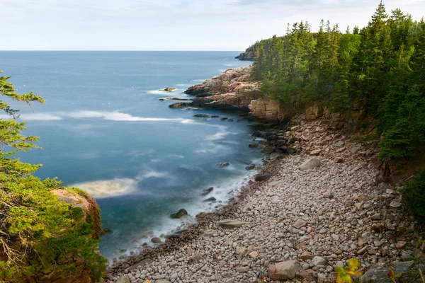 Acadia National Park Coast Stock Image