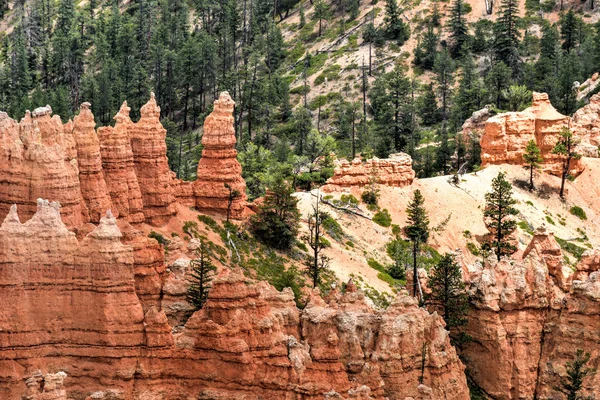 Bryce Canyon National Park — Stock Photo, Image