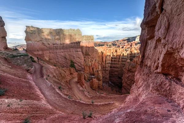 Bryce Canyon National Park — Stock Photo, Image