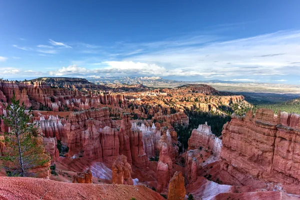 Parque Nacional Bryce Canyon —  Fotos de Stock