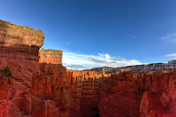 Bryce Canyon Nemzeti Park — Stock Fotó