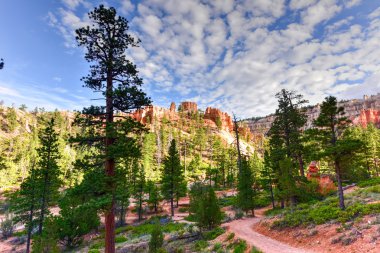 Bryce Kanyonu Ulusal Parkı
