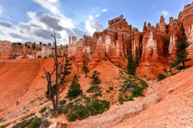 Bryce Kanyonu Ulusal Parkı