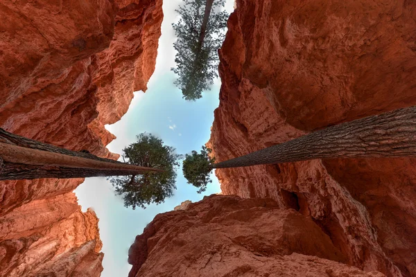 Parque Nacional Bryce Canyon —  Fotos de Stock