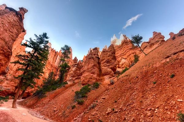 Bryce Canyon Nemzeti Park — Stock Fotó