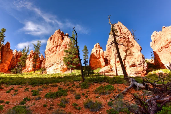 Bryce Canyon Nemzeti Park — Stock Fotó