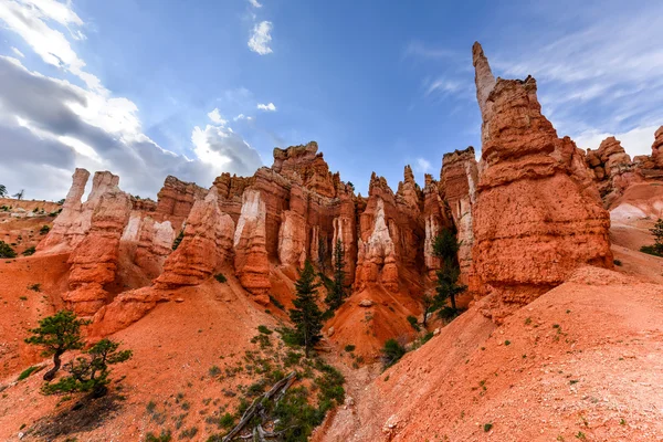 Bryce Canyon National Park — Stock Photo, Image