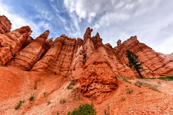 Parque Nacional Bryce Canyon —  Fotos de Stock