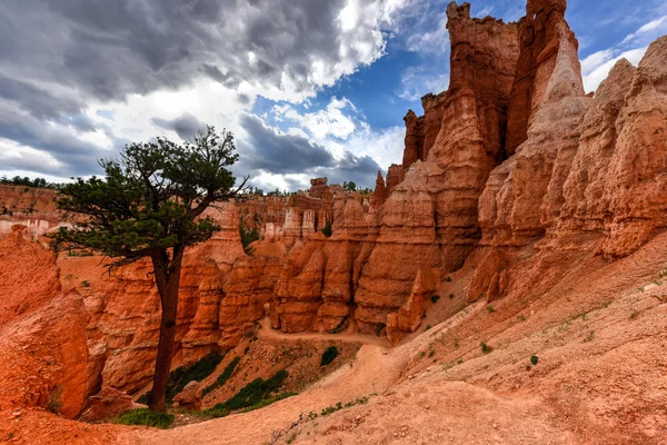 Parque Nacional Bryce Canyon —  Fotos de Stock