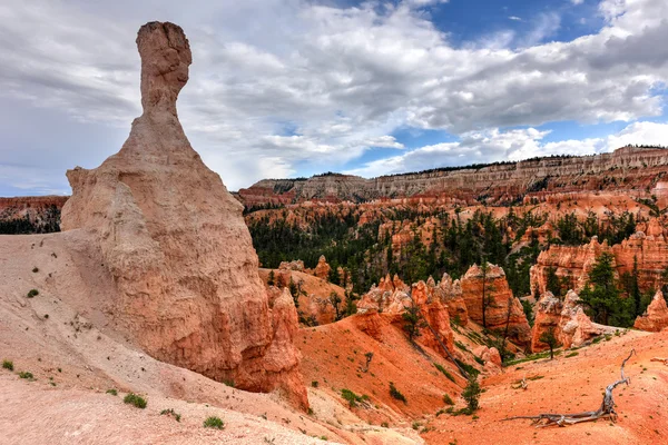 Parque Nacional Bryce Canyon —  Fotos de Stock