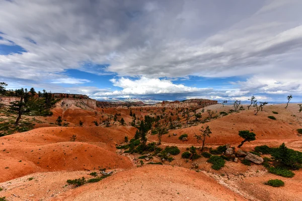 Parque Nacional Bryce Canyon — Fotografia de Stock