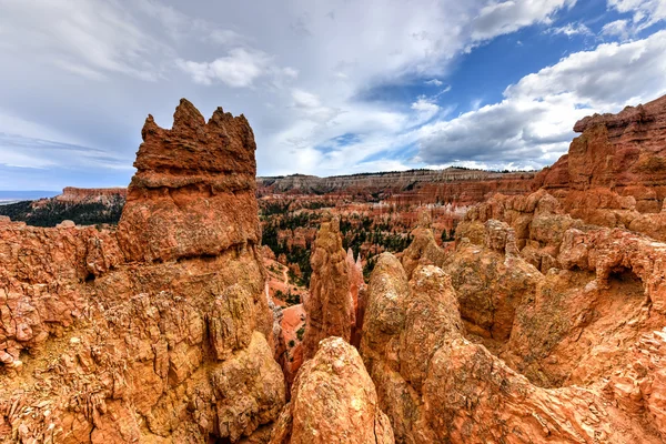 Bryce Canyon National Park — Stock Photo, Image