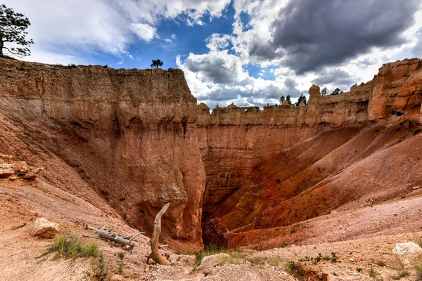 Bryce-Canyon-Nationalpark — Stockfoto