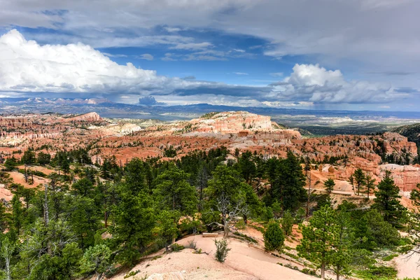 Bryce Canyon Nemzeti Park — Stock Fotó