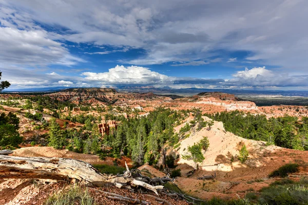 Bryce Canyon Nemzeti Park — Stock Fotó