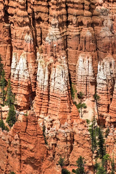 Bryce Canyon Nemzeti Park — Stock Fotó